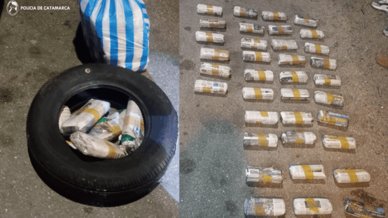 Se les pinchó el plan: tres detenidos y más de 80 paquetes de hojas de coca secuestrados