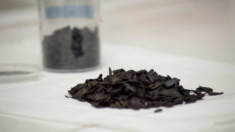 CONICET presentó un método económico para reducir arsénico y nitratos del agua