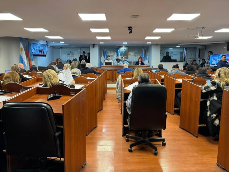 Boleto Gratuito para Adultos Mayores: los detalles de un proyecto próximo a ser ley