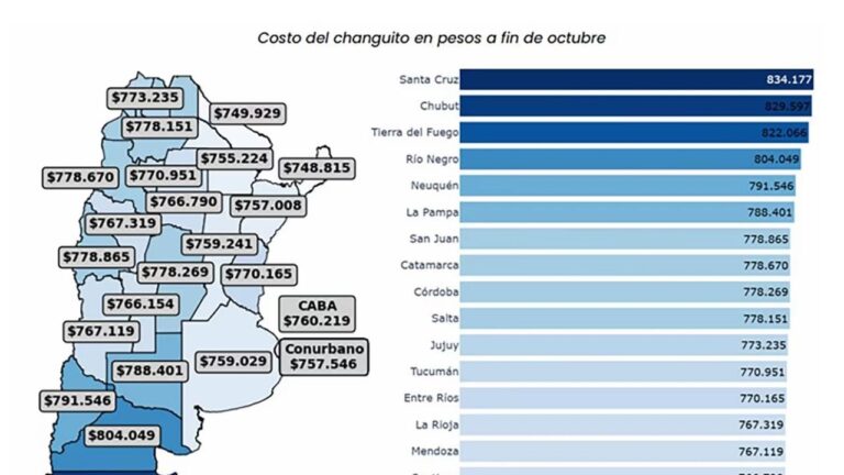 Llenar un changuito en la provincia costó $778.670