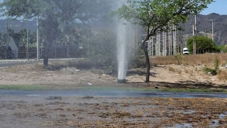Impresionante pérdida de agua en la zona de Alto Fariñango
