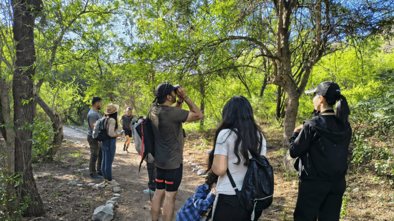 Avistaje de aves en el Pueblo Perdido: un paseo entre charatas, picaflores y paisajes silvestres