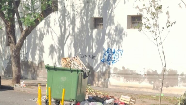 «Debería haber una materia que enseñe a cuidar al medio ambiente»