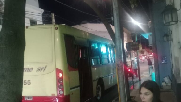 Los colectivos están todos obsoletos, no invierten nunca en las unidades