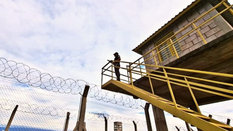 Lapidario informe del Comité de Prevención de la Tortura