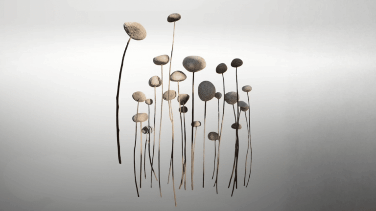 Nueva exposición en Casa Caravati: inaugurarán Raíces de Sol de Bruno Ceballos