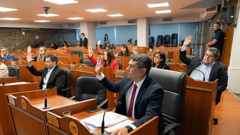 El Senado aprobó los acuerdos rubricados por el Ejecutivo sobre Farallón Negro e YMAD