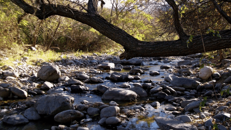 El CONICET lanzó un proyecto clave para el río El Tala