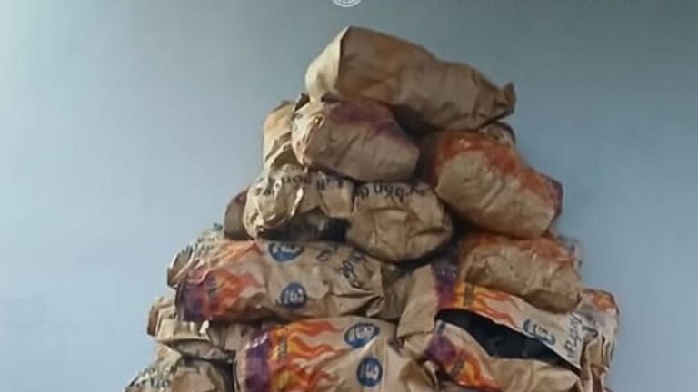 Secuestran importante carga de carbón vegetal en el Puesto Caminero de La Puerta