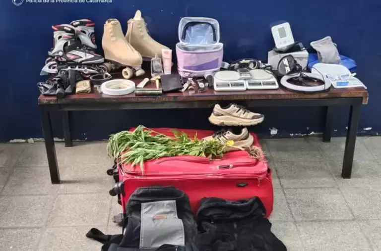 Secuestraron una valija abandonada con una planta de marihuana en San Isidro