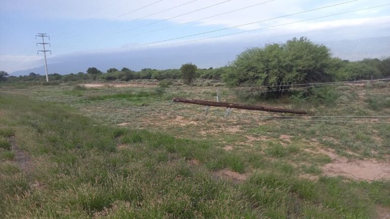Un fuerte viento volteó siete postes y afectó una línea de media tensión en Capayán