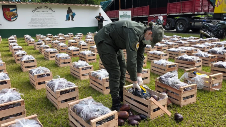 Salta: intentaban traficar más de 31 kilos de cocaína ocultos en cajones con berenjenas