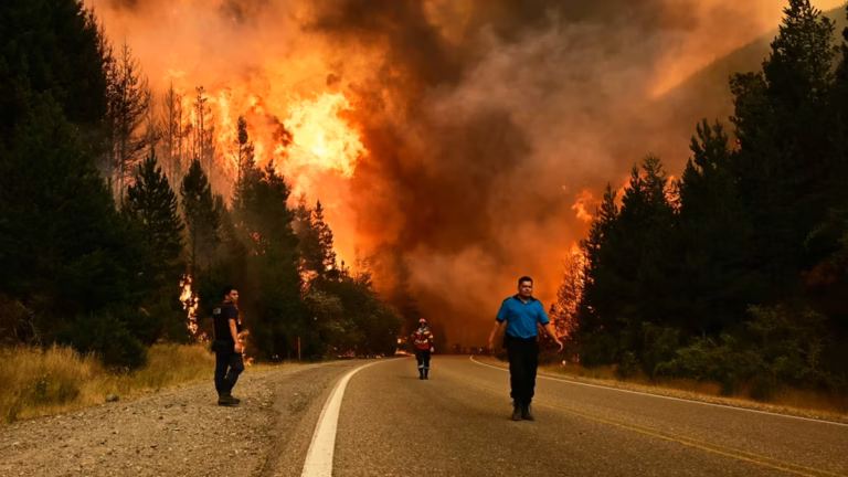 La OSA desmintió que turistas israelíes estén vinculados a los incendios y denunció teorías conspirativas