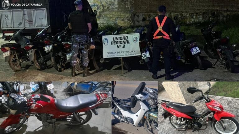 Secuestraron 21 motocicletas en operativos de Capital e interior