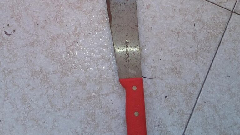 Un hombre atacó salvajemente con un  machete a su pareja