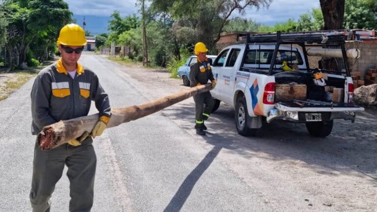El frente energético