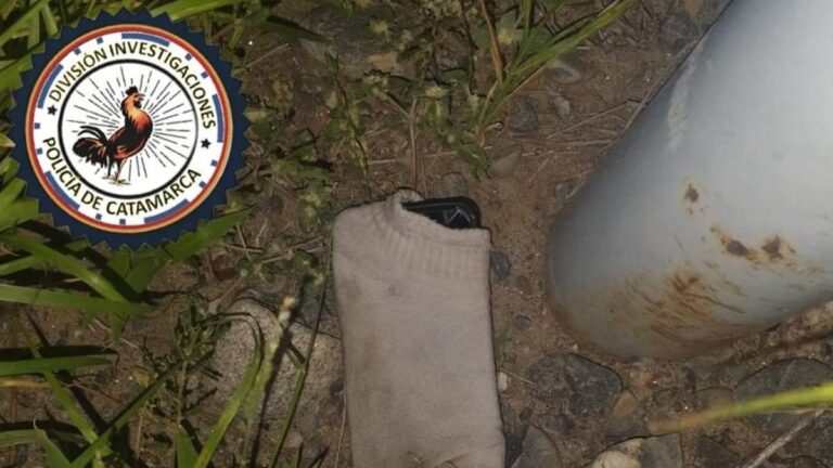 Arrestaron a un hombre acusado de robar un celular