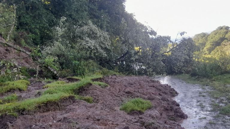 Cortaron el tránsito en la Cuesta de El Clavillo por derrumbes y caída de árboles