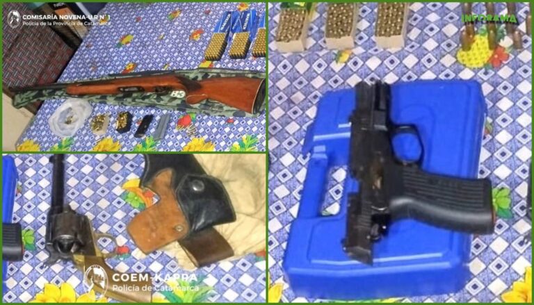 Fueron a excluirlo del hogar por violencia familiar y descubrieron que tenía un arsenal de armas de fuego
