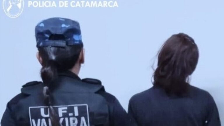 Una mujer robó en un local, volvió a los días y la descubrieron
