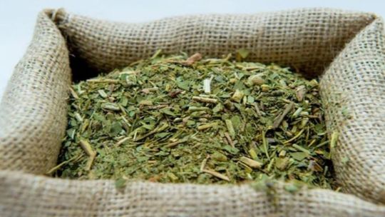 Productor sobre la crisis yerbatera: «Esto es un proyecto de muerte y lo encara el presidente de la república»