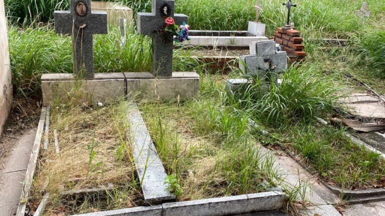 Reclamo por falta de mantenimiento y maleza alta en el cementerio municipal