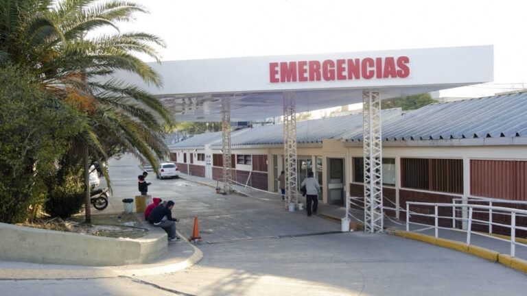 Detienen a un hombre por agredir brutalmente a su propio hermano