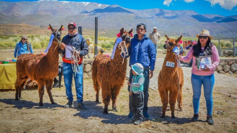 Multitudinaria edición de la feria  «La Chimpiada» en Laguna Blanca