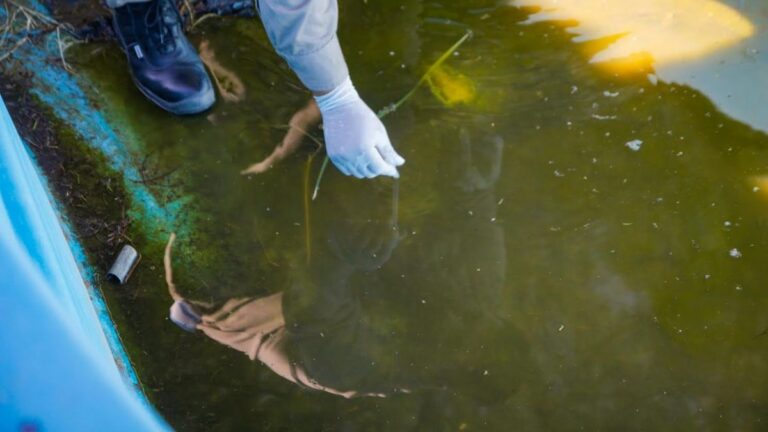 Salud confirmó tres casos de chikungunya y pidió reforzar la prevención
