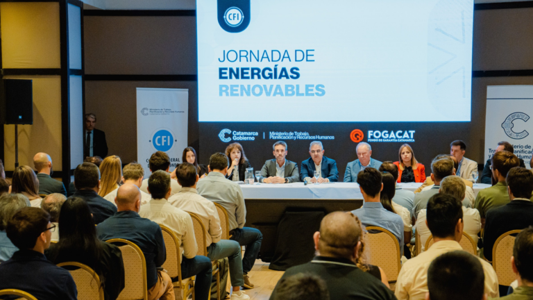 Catamarca y el CFI lanzan programas para impulsar inversiones energéticas