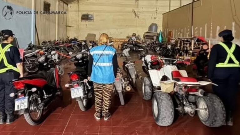 Operativos policiales en toda la provincia: cuatro arrestos y diecisiete vehículos secuestrados