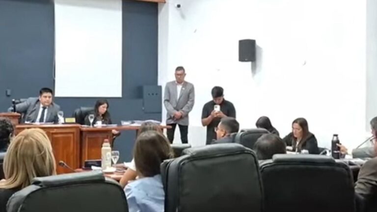 Debate en el Concejo Deliberante por el pase a planta permanente de becados