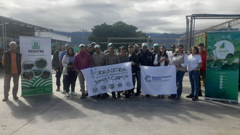 Participantes en una capacitación sobre uso de fitosanitarios en un establecimiento olivícola de Catamarca.