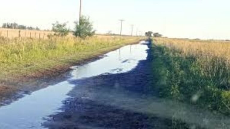 Imagen ilustrativa de un camino rural en mal estado
