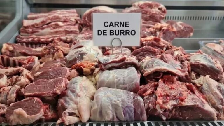 Cortes de carne de burro en exhibición