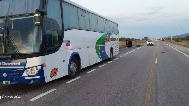 Colectivo en la Ruta 38 tras colisionar con un caballo en Nueva Coneta