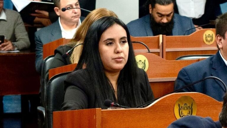 Diputada provincial Cecilia Barros durante la presentación del proyecto de ley sobre entornos educativos seguros