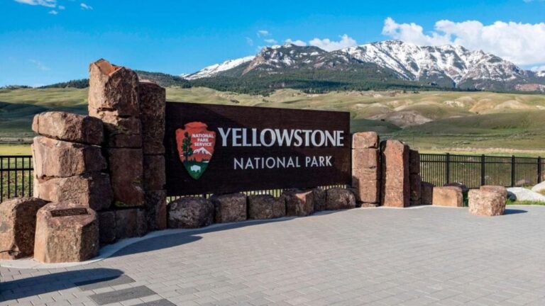 Vista del Parque Nacional de Yellowstone con cartel de advertencia sobre osos