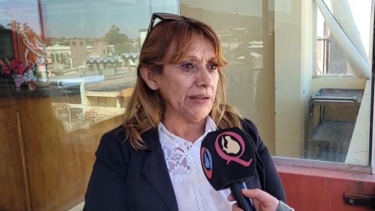 Griselda Bazán, presidenta de Apyfadim, en entrevista radial