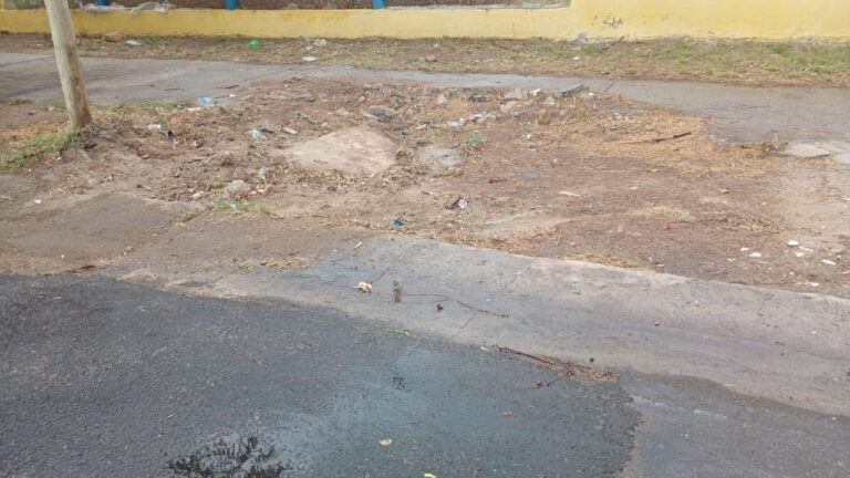 Limpieza de basural en avenida Virgen del Valle