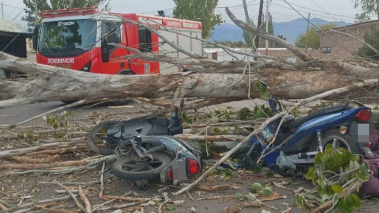 Árbol caído sobre motocicletas en Las Heras, Mendoza, por viento Zonda