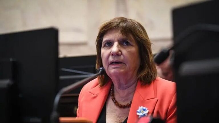Patricia Bullrich en el Senado