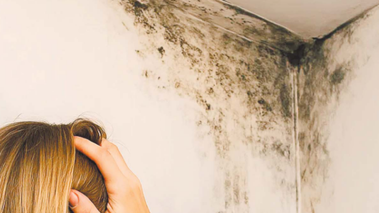 Pared con manchas de humedad y moho