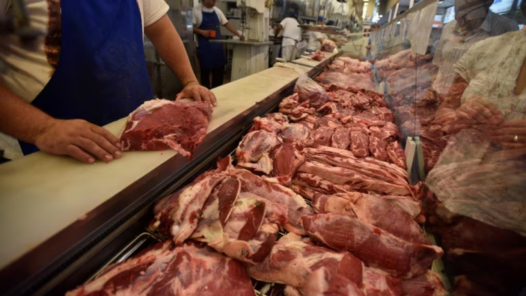 Cortes de carne vacuna en una carnicería