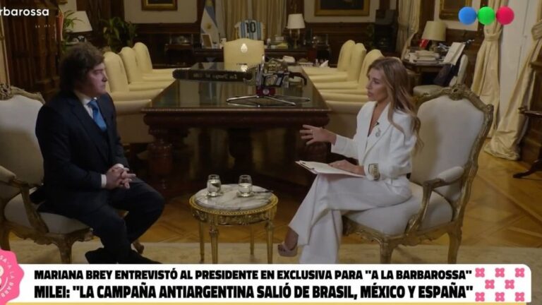 Javier Milei en una entrevista radial