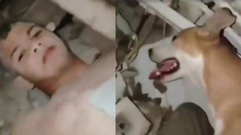 Niño y perro rescatados de escombros en Venezuela
