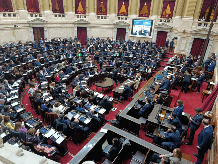 Sesión de la Cámara de Diputados durante la votación del Súper RIGI