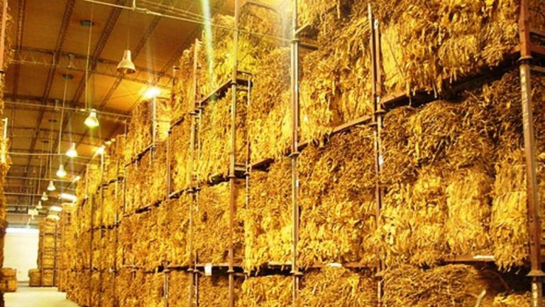 Foro de la Cadena de Valor Agroindustrial del Tabaco 2026 en Buenos Aires