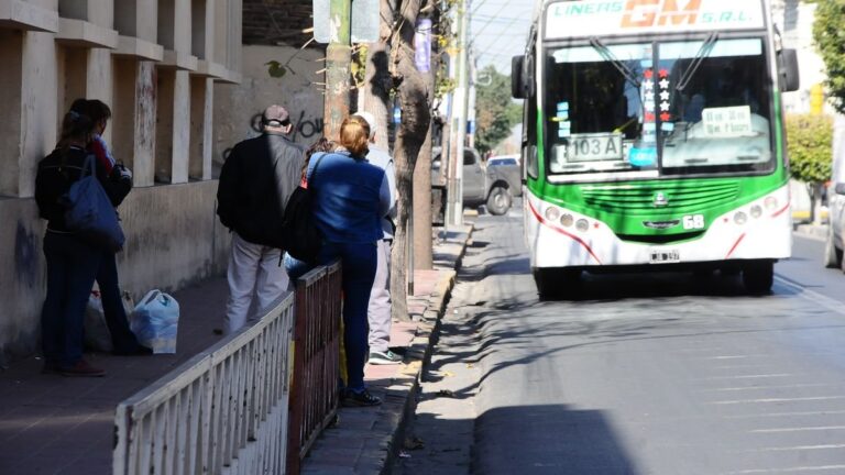 Colectivos detenidos en una calle de Catamarca durante la suspensión del servicio por la final del Mundial