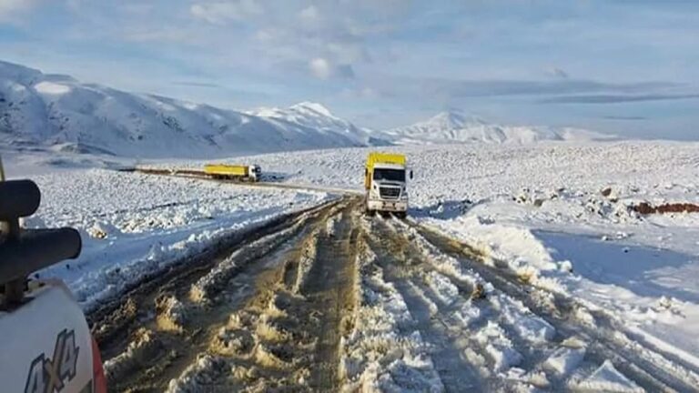 Vehículos en ruta de la puna catamarqueña con nieve